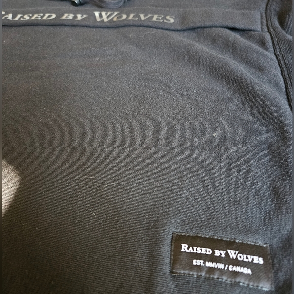 Raised by Wolves Black heavy weight hoodie with 3m logo - Picture 6 of 6